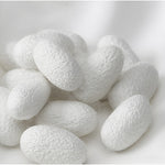 100% Silk Face Mask for Women